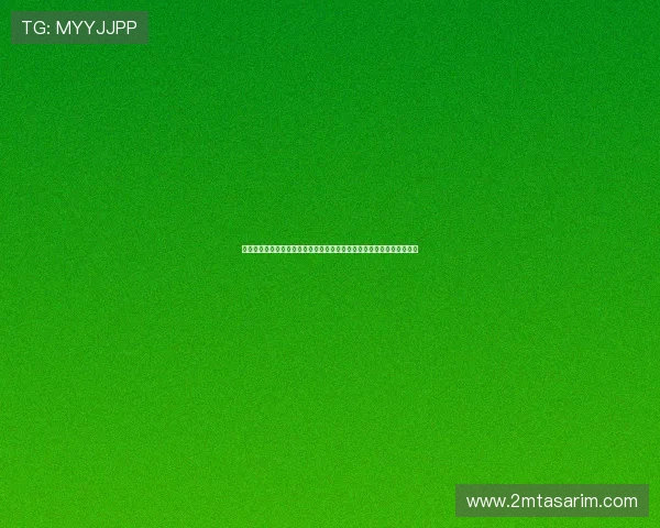 亚星娱乐真人版深度解析世界杯热点话题，满足足球迷的多样化娱乐需求